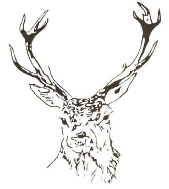 Logo Staff Scouts